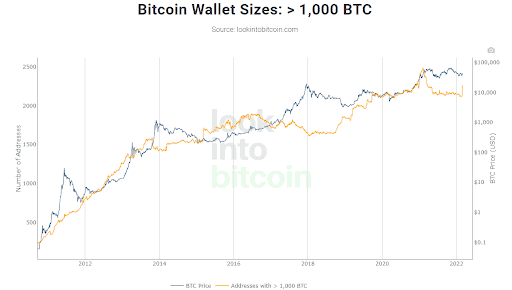 Ukraine invasion impacts surge in Bitcoin whale addresses, reaching 10-month high