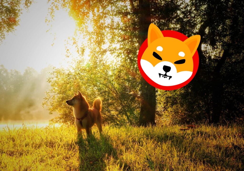 Shiba Inu Shibarium, SHI & TREAT! Lead dev Shytoshi releases huge update