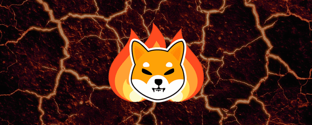Amount of Shiba Inu tokens burned in February dropped significantly; meanwhile, Exodus representatives respond to taunts over Shibarium support