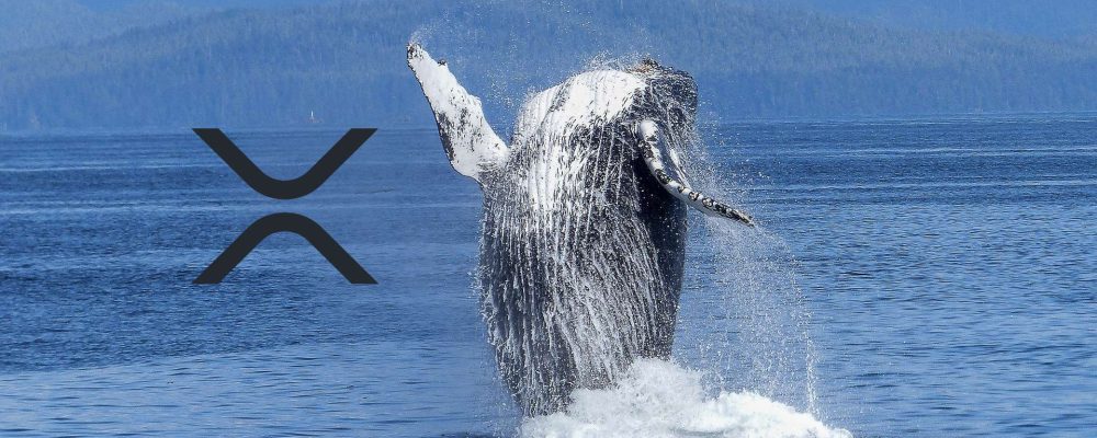 XRP whales in action again - this time they transferred 442 million coins
